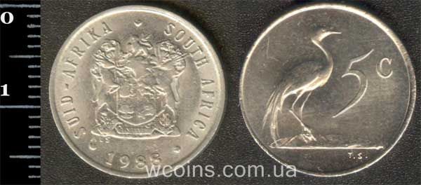 Монета Південна Африка 5 центів 1988