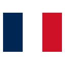 Французский Индокитай - флаг